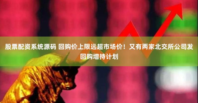 股票配资系统源码 回购价上限远超市场价！又有两家北交所公司发回购增持计划